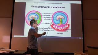 2402 Lab Extraembryonic Membranes and Fetal Circulation [upl. by Adanar]