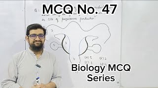 MCQ Series  Question 47  Lets Crack MDCAT [upl. by Vincenta667]