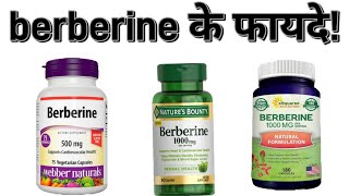 berberine benefits  berberine ke fayde  berberine side effects  berberine how to take  berberine [upl. by Latyrc677]