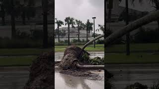 Tornado Rips Through Florida Neighborhood Uproots Trees and Flips Car [upl. by Templia261]