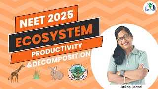 Chapter 12 Ecosystem Revision of Productivity and Decomposition in one shot [upl. by Henebry]