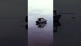 Does our rotten boat float boating boatlife woodenboat woodwork boatrestoration boats tide [upl. by Rosena]