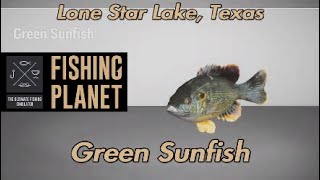 Green Sunfish Lone Star Lake Texas Fishing Planet Guide [upl. by Auqenehs]