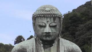 Japans Great Buddha of Kamakura  Kotokuin Daibutsu 高徳院大仏  Japan As It Truly Is [upl. by Donatelli88]