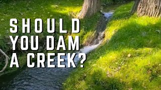 Should You Dam a Creek or Stream In Your Yard [upl. by Ringo]