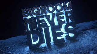 Hardwell amp Blasterjaxx feat Mitch Crown  Bigroom Never Dies Visual Video [upl. by Anibur]