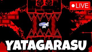 LIVE YATAGARASU 85x3 Go at 58 [upl. by Leler12]