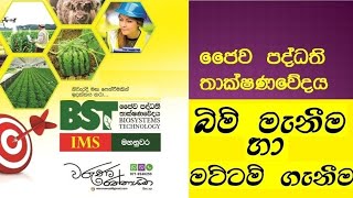 Biosystems Technology  BST අපි බිම් මැනීම හා මට්ටම් ගැනීම  ජෛව පද්ධති තාක්ෂණවේදය [upl. by Retxab]