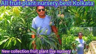 Live Nursery West Bengal  New Thailand variety collection fruit plant  Kolkata best nursery [upl. by Waller87]