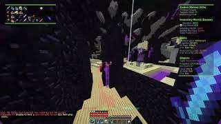 Hypixel Skyblock  Taunahi Zealot Macro [upl. by Dinnage257]