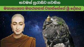 මහාකාශ්‍යප මහරහතත් වහන්සේගේ දේහයMaha kashyapa maha rahathan wahansesinhalaRuwix s media [upl. by Autry]