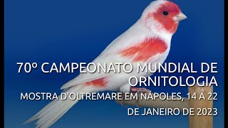 Vai começar o 70° Campeonato Mundial de Ornitologia em Napoles na Itália [upl. by Limhaj]