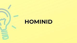 What is the meaning of the word HOMINID [upl. by Euginomod710]