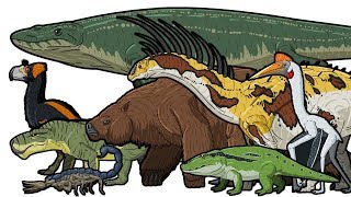 PREHISTORIC LIFE  Animated Size Comparison [upl. by Pendergast]