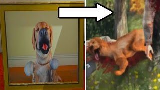 GTA 5 WHAT HAPPENED TO MICHAELS DOG Creepy Dark Secrets GTA 5 [upl. by Oshinski281]