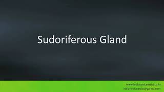 Pronunciation of the words quotSudoriferous Glandquot [upl. by Eittak]