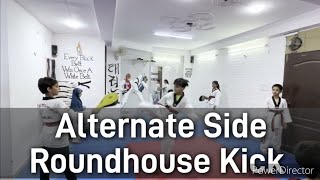 Alternate Side Roundhouse Kick Training in Taekwondo [upl. by Stovall452]