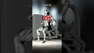 Experience the Seated Dip A Proven Triceps Builder [upl. by Freud]