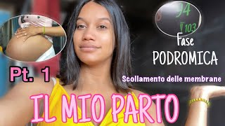 IL MIO PARTO PARTE 1  Fase Podromica  SCOLLAMENTO DELLE MEMBRANE Nathalie Navarro [upl. by Acima551]