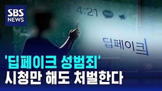 딥페이크 성범죄 뿌리 뽑는다…quot플랫폼 사업자도 책임quot  SBS [upl. by Ahsirk]