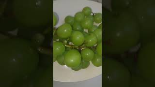 Muscat grape food healthy grape [upl. by Ragnar]