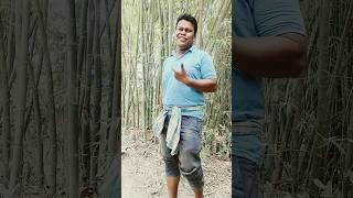 Zehar Hai Ke Pyar Haishortsvideo youtubeshorts dance song shortsfeed zeharhaikepyarhai [upl. by Wichern]