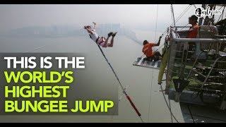 We Jumped From The Worlds Highest Bungee Point In Macao amp It Was AWESOME  Curly Tales [upl. by Blockus]