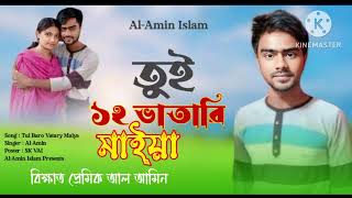 তুই বারো ভাতারি মাইয়া Tui Baro vatari maiya new sad song বিখ্যাত প্রেমিকআলামিন [upl. by Leakim]