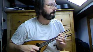 Classical mandolin FrühlingsliedSpring Song Mendelssohn on Embergher mandolin [upl. by Buroker]