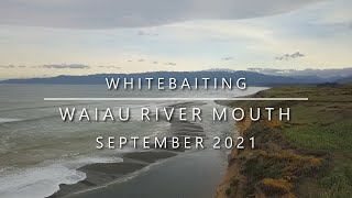 Whitebaiting the Waiau River Southland  September 2021 043 [upl. by Gnex]