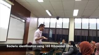 IEG301 Bacteria identification using PCR [upl. by Ahsemo154]