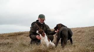 Reel  Features Struther Trilaminate Long Smock amp Rannoch Thermal Jacket with dogs 30secs [upl. by Ringo512]