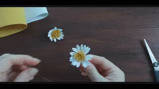 Handmade Foamiran Flowers Daisies [upl. by Alrick710]