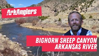 ArkAnglers Arkansas River Fishing Report from Bighorn Sheep Canyon [upl. by Osnohpla]