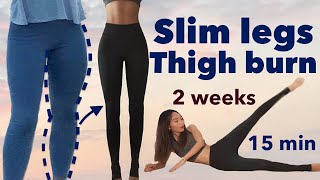 Slim legs amp thigh burn🔥secret easy workout  2 weeks beginner challenge 15minquietno equipment [upl. by Aihsenyt]