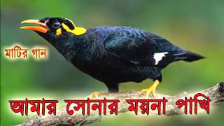 Bangla Song  আমার সোনার ময়না পাখি  OSMAN KHAN [upl. by Assir205]