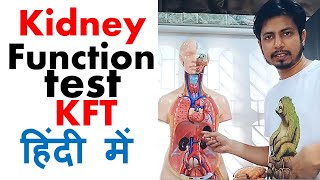 Kidney function test in hindi  Normal range and procedure explained [upl. by Assenat]