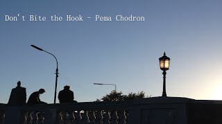 Pema Chodron  Dont bite the hook [upl. by Paget]