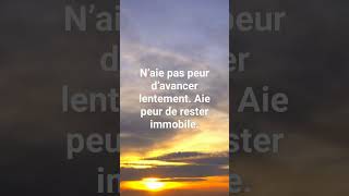 proverbe chinois [upl. by Oniram]