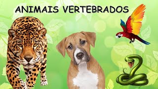 ANIMAIS VERTEBRADOSmamíferosaves peixes répteis e anfíbios [upl. by Llenaj]