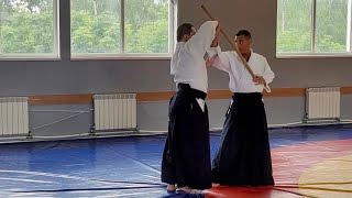 Aikido Katate ryote dori by Daniele MONTENEGRO sensei  Pskov 2024 Part 23 [upl. by Khalil382]