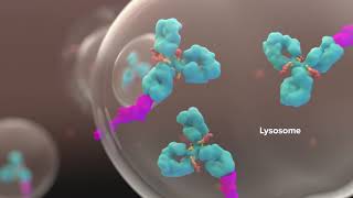 3D Medical Animation with Oncology ADC Mechanism of Action [upl. by Nauqahs]