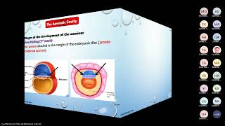 Amnion amp chorion DrEyad [upl. by Horst]