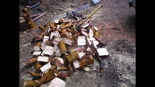 Pacific Madrona trees provide Best firewood [upl. by Ellimac]