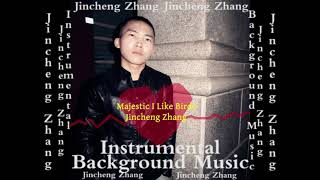 Jincheng Zhang  Marrow I Like Birds Official Instrumental Background Music [upl. by Adnovahs432]