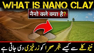 Nano Clays Incredible Potential to Transform Deserts into Lush Green Paradises [upl. by Infield]