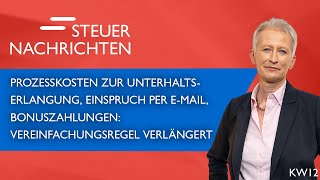 Unterhaltserlangung Einspruch per EMail Bonuszahlungen  Steuernachrichten Update 1224 [upl. by Nawj]