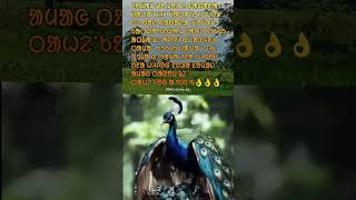 SOMAJ DO ROL GE BADAYA NEW SANTALI VIDEO NEW MOTIVATE VIDEO SOMAJ A TALAMA NIHATI [upl. by Eseenaj643]