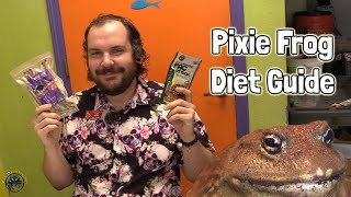 🐸 What Should I Feed My Pixie Frog  A Pixie Frog Diet Guide [upl. by Ocir]