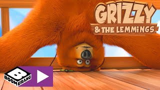 Grizzy en de Lemmings  Gedownloade kennis  Cartoonito [upl. by Anuaik]